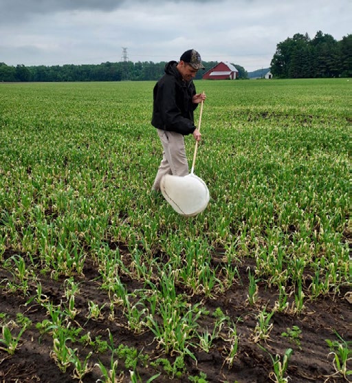 A person collecting insects in a field